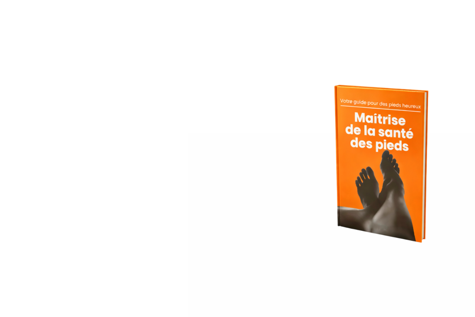 Bannière