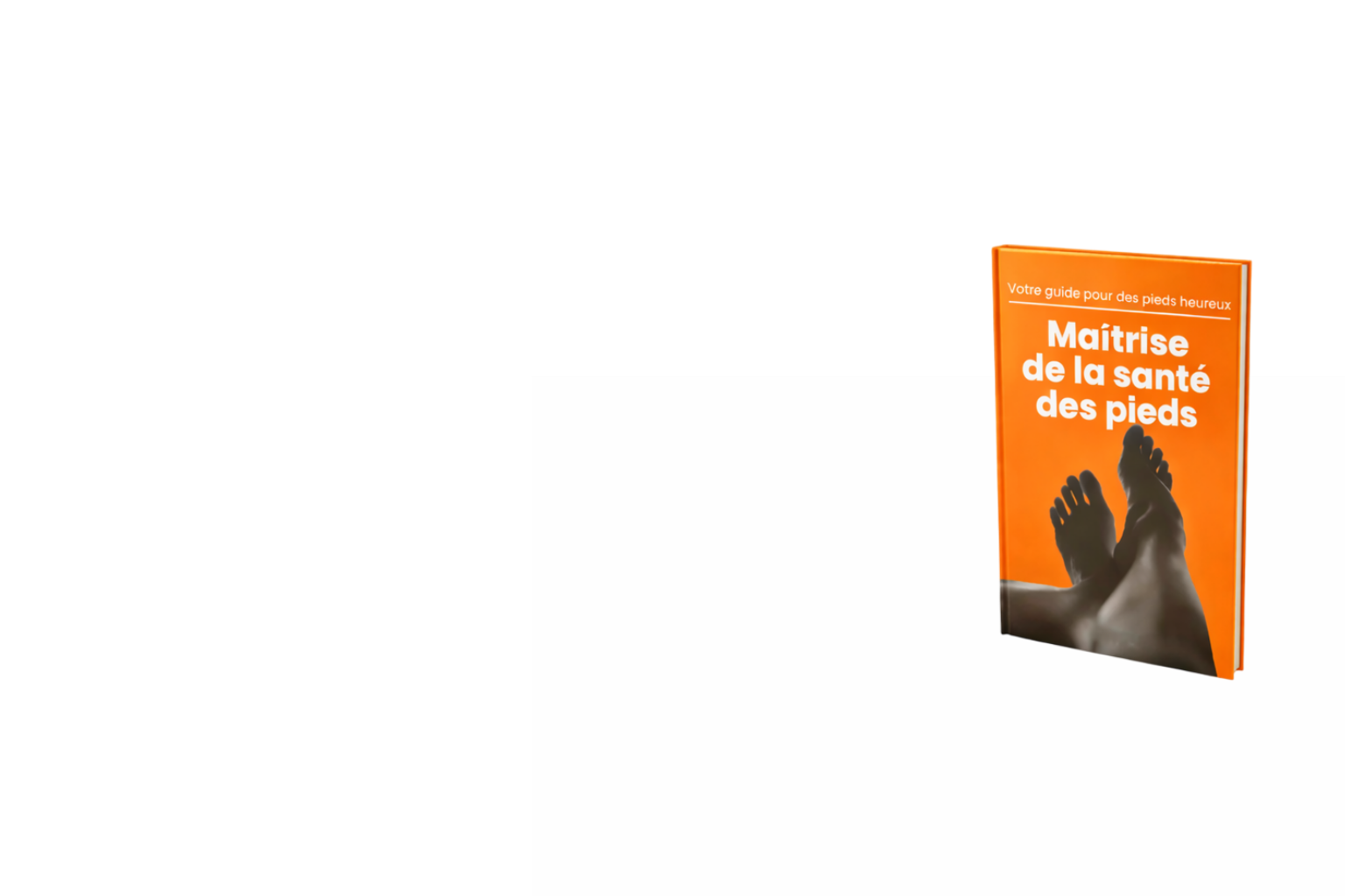 Bannière
